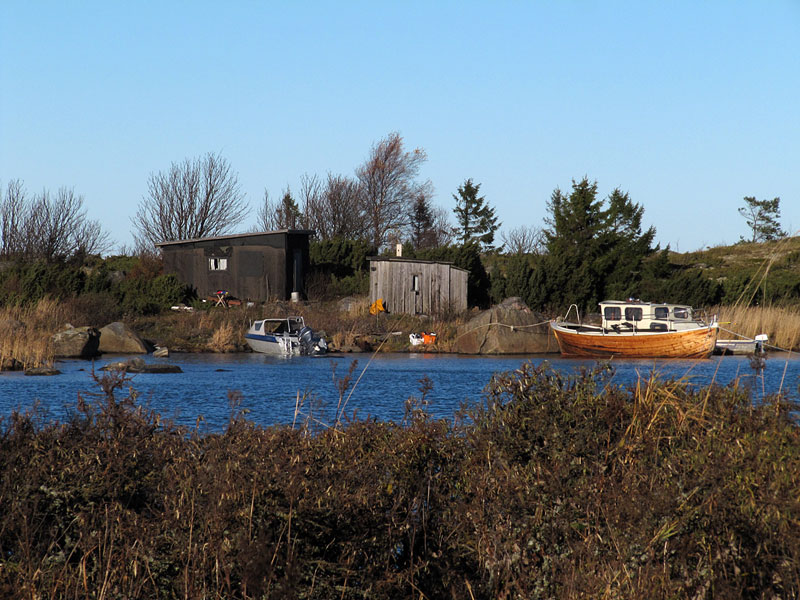 Steenkumppoosi