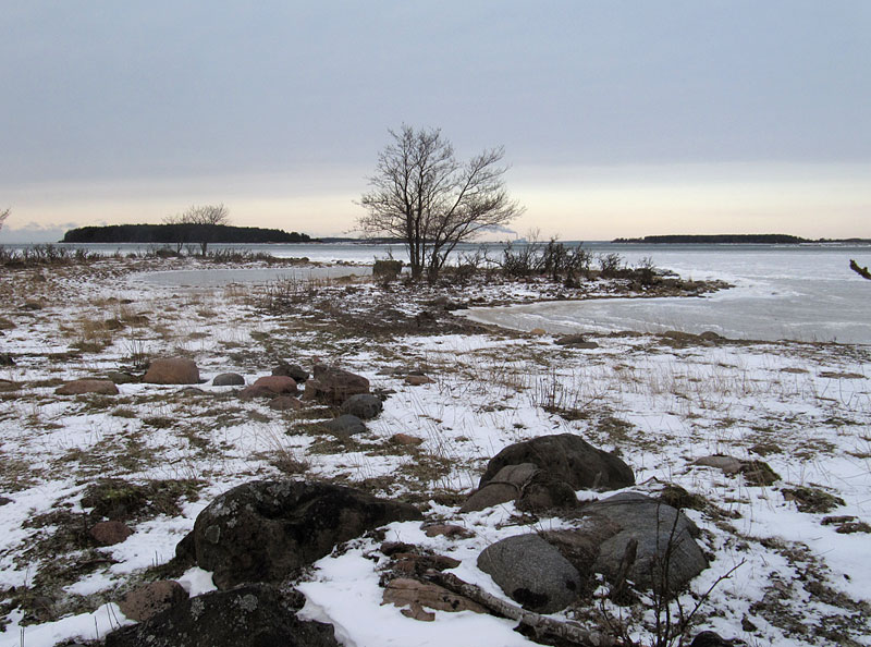 Hevoskari