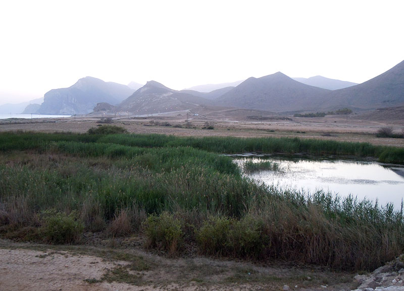 Al Mughsayl allas