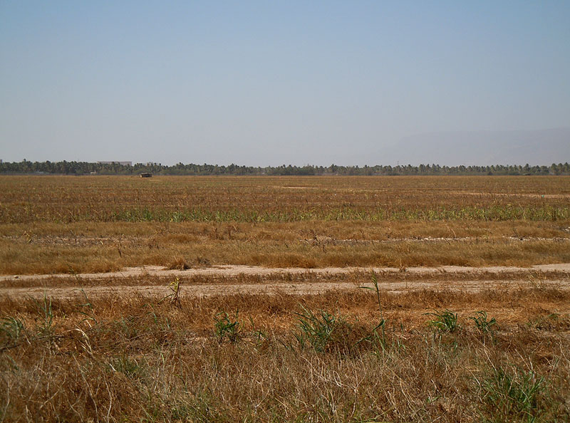 Jarziz farm Jarziz farm