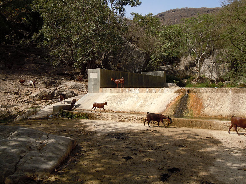 Wadi Hanna