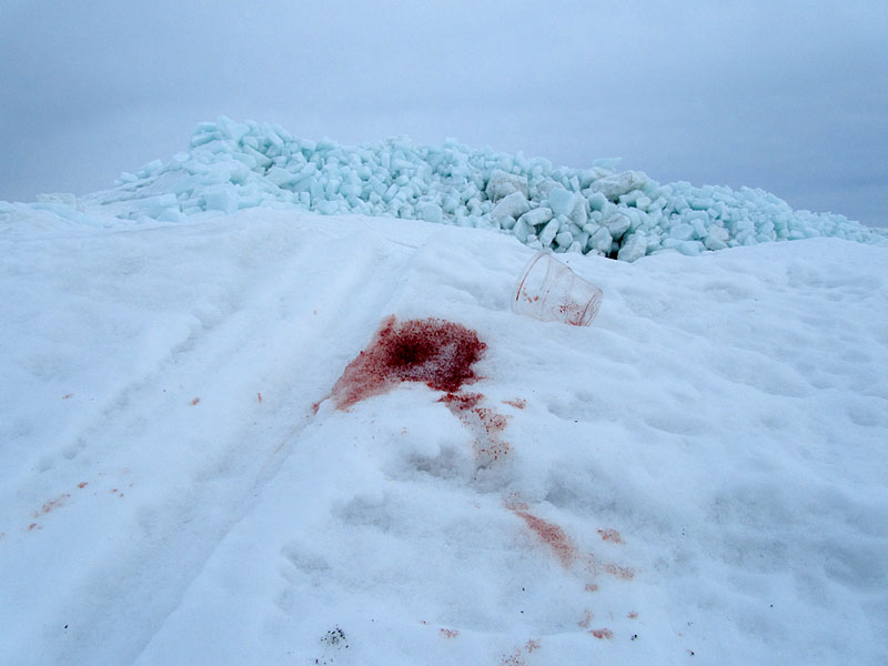 J&auml;&auml;tr&ouml;ykki&ouml;, vinimuki ja viini