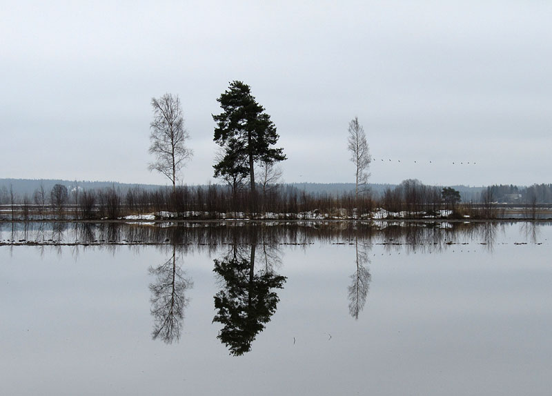 Tulvapeltojen saari