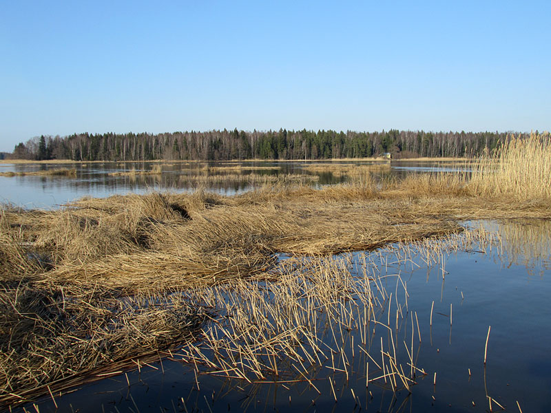 Puussan etel&auml;puoli