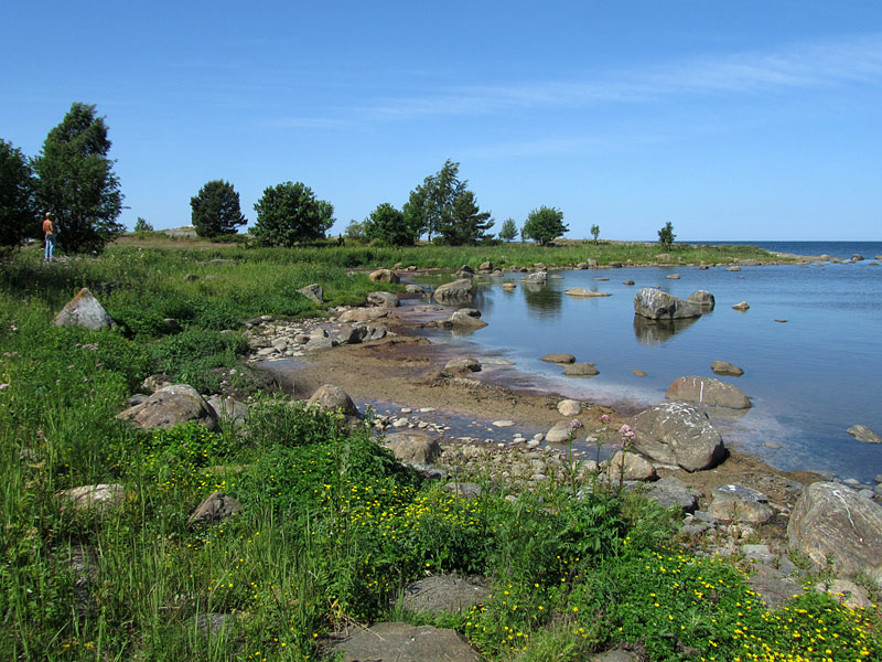 Dyngklobben