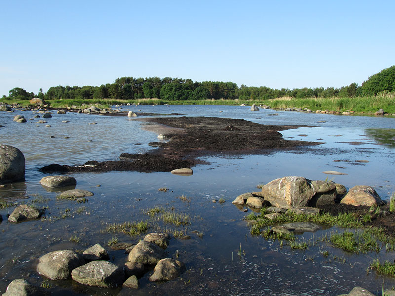 Domarkobban, laguuni