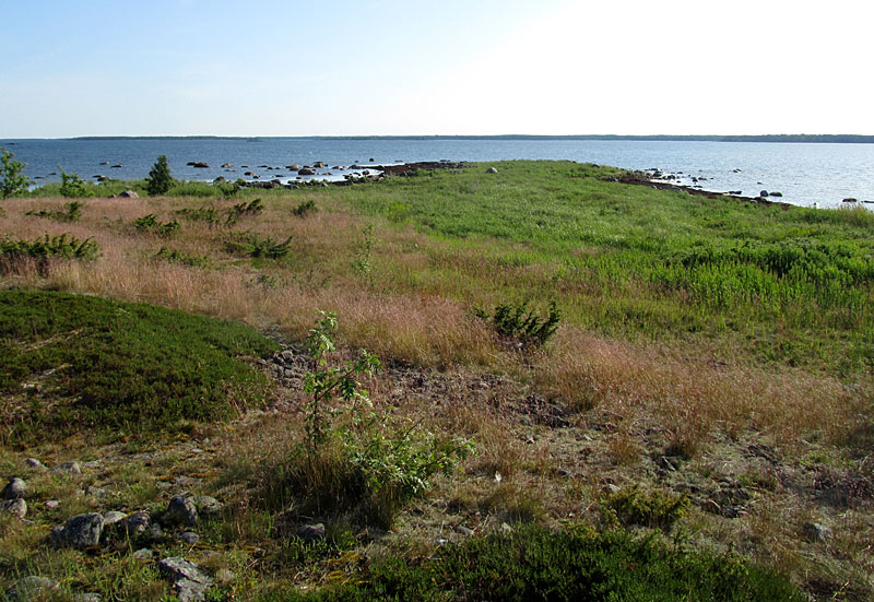 Domarkobban, pohjoisk&auml;rki