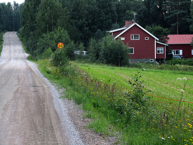Kattohaikara pellolla