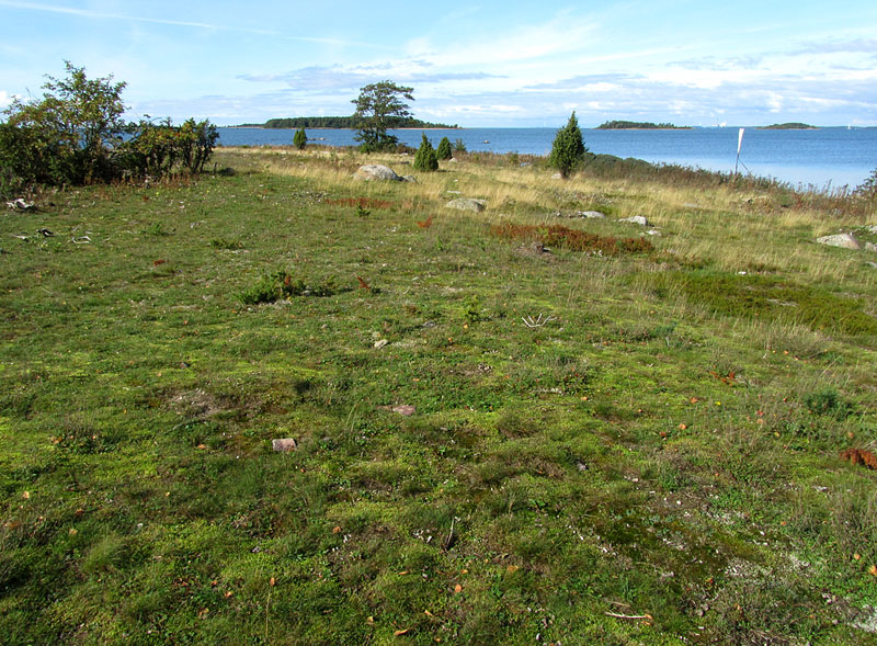 Puoliv&auml;linkari