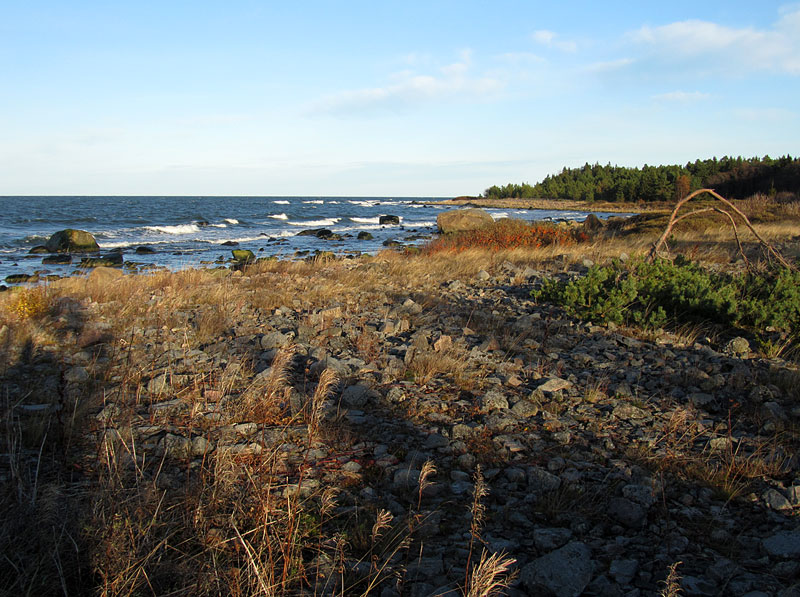 Aamustaijjipaikka Haminakari