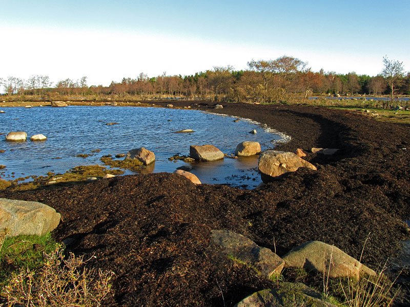 Etel&auml;k&auml;rjen haurut