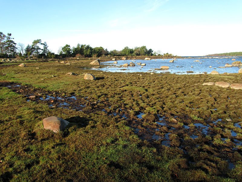 K&auml;rkilaguuni