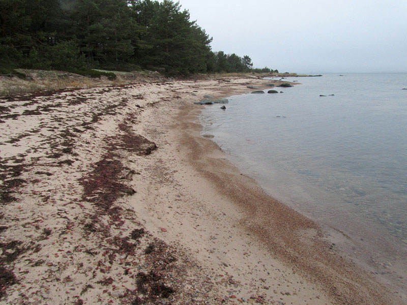 Kallioluodon hiekkaranta