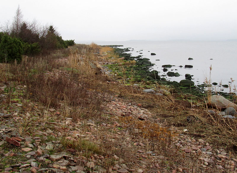 Kallioluodon ruderaatti