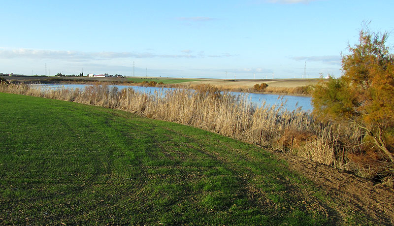 Laguna Chica