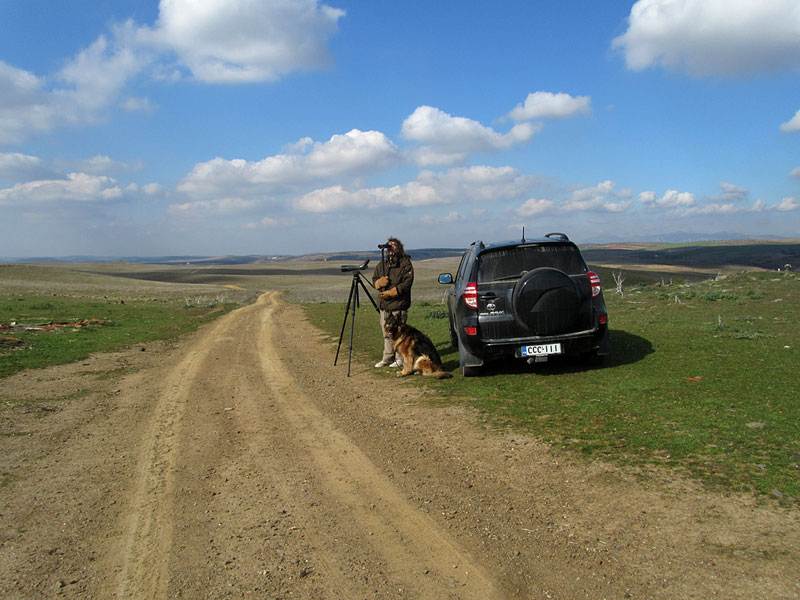 Lotte Blogger ja Rav4