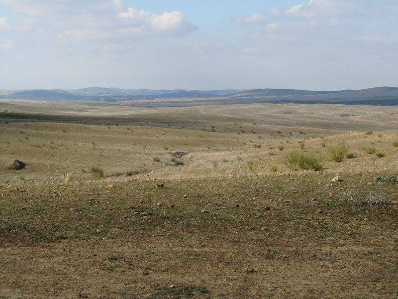 Kuivinta aroa