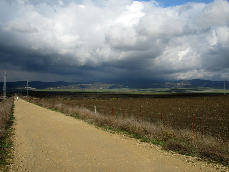 Laguna la Janda