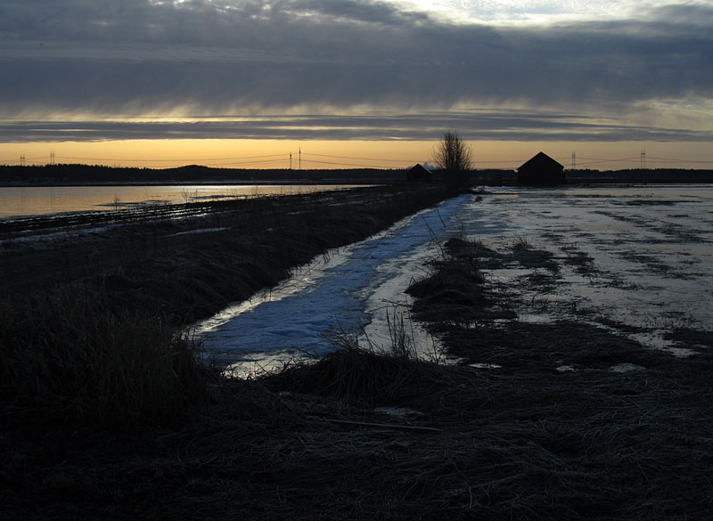 Leistil&auml;nj&auml;rvi aamulla