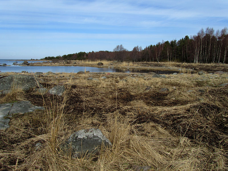 Etel&auml;kari, Lohiloukko