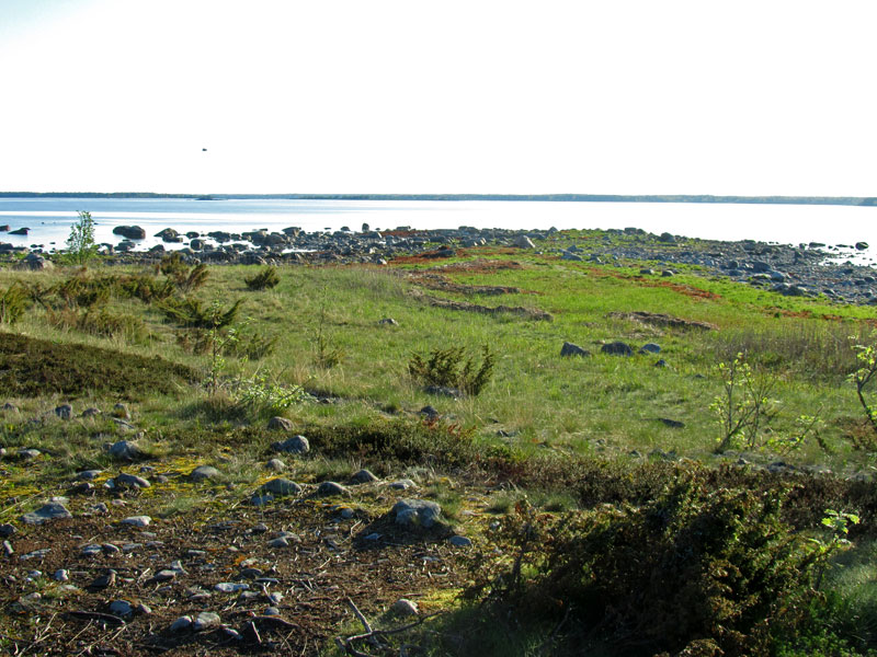 Pohjoiskarki