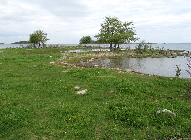 Hevoskari