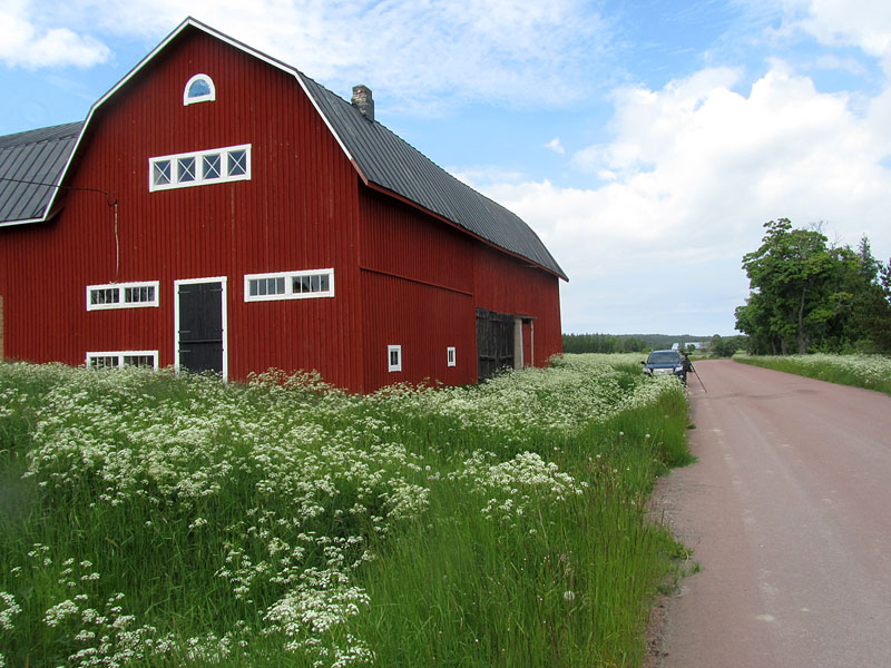 Saltvik, Haga, Punainen lato