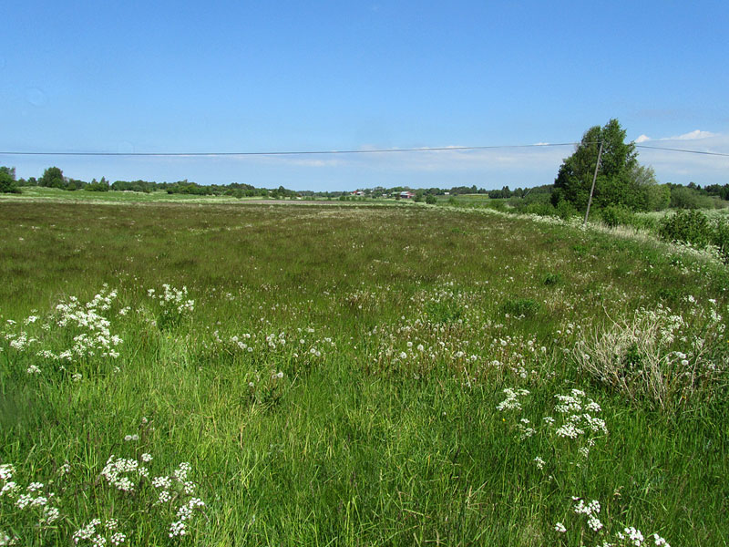 S&aring;lis