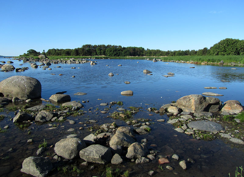 Laguuni