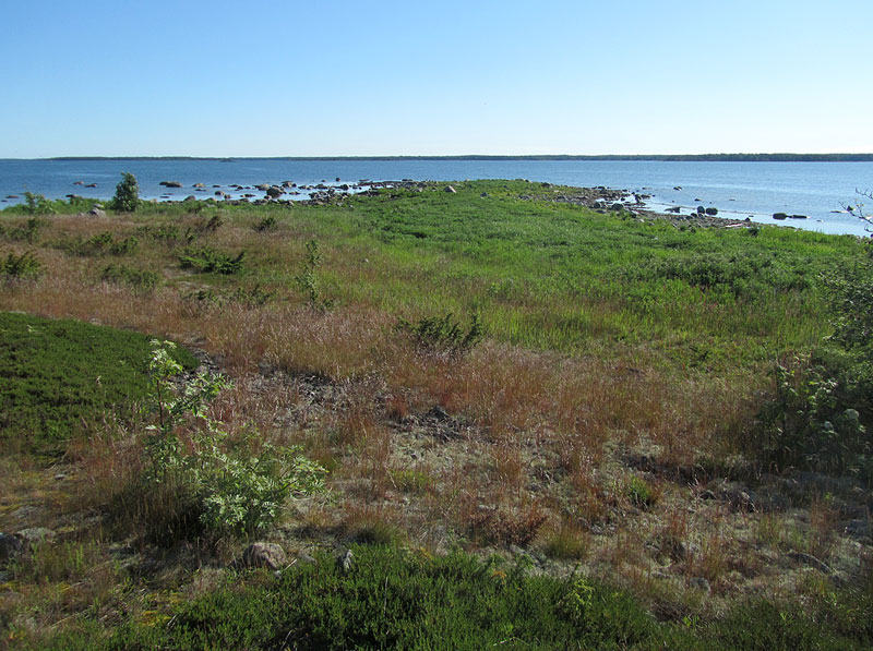 Pohjoiskarki