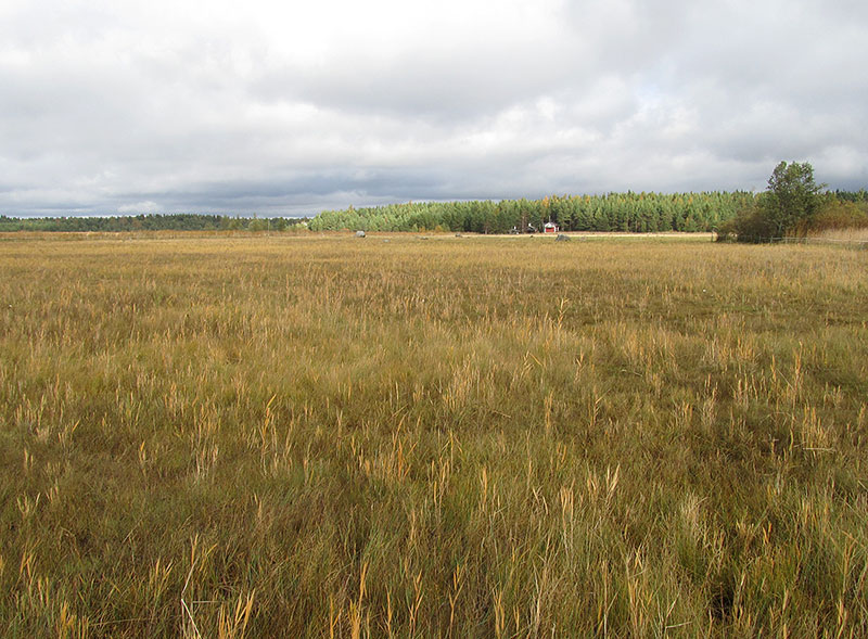 Keskilaidun