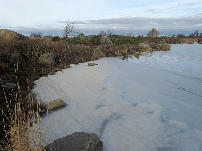 Vaahtoa
