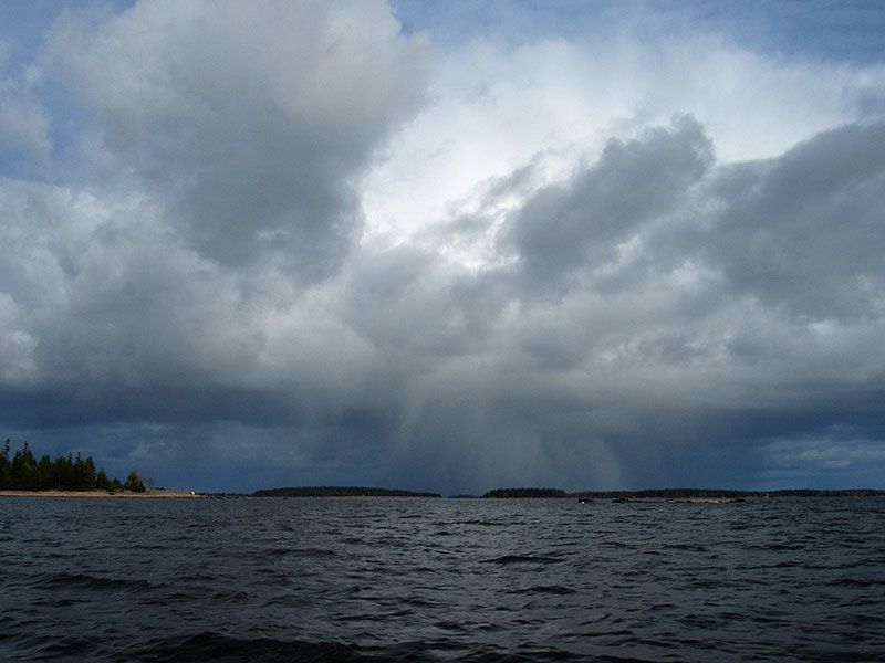 Lumikuuroja