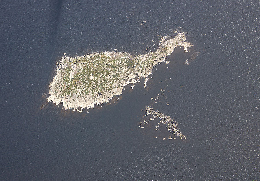 Uusikaarlepyy, Fj&auml;rdsgrundet
