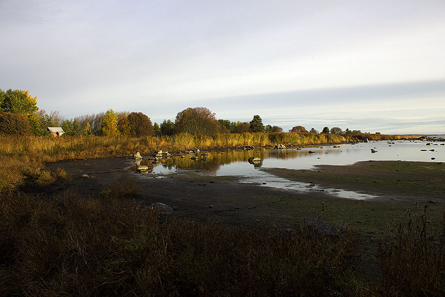 Domarkobban, laguuni