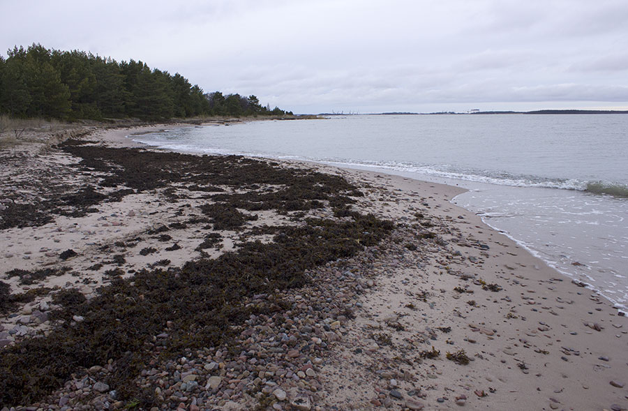 Kallioluodon hiekkaranta Kallioluodon hiekkaranta