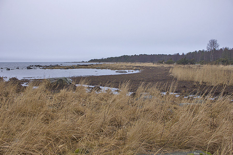 Hauruloukko
