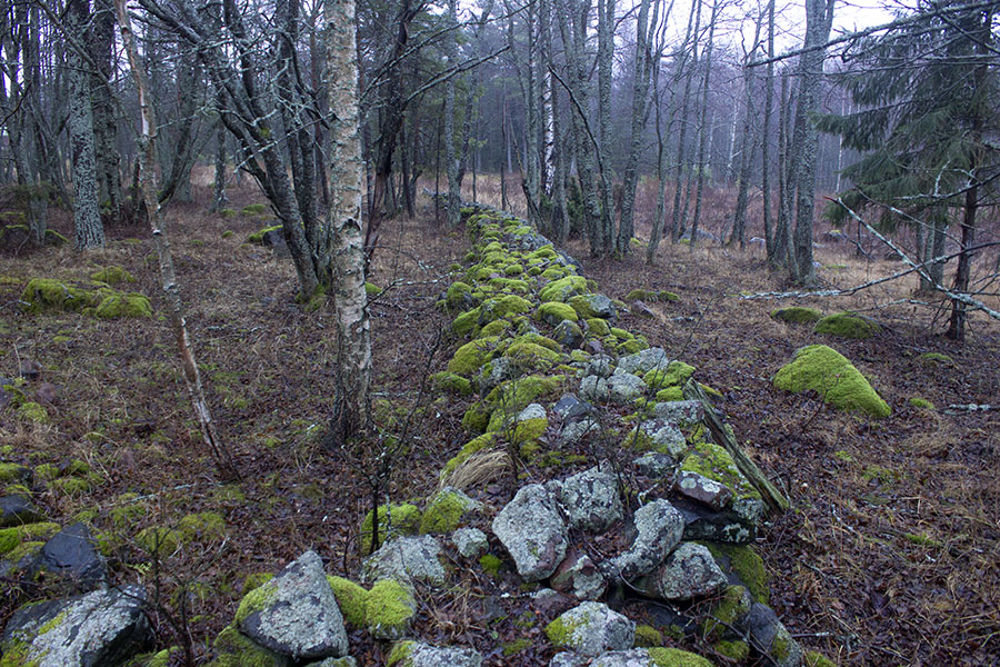 Sataman kiviaita