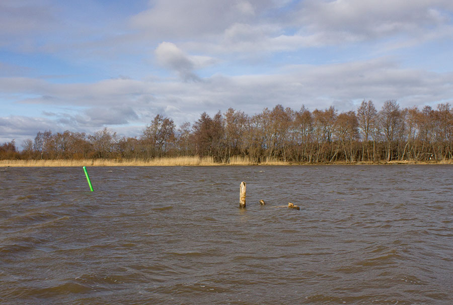 Suiston viimeinen Mummu