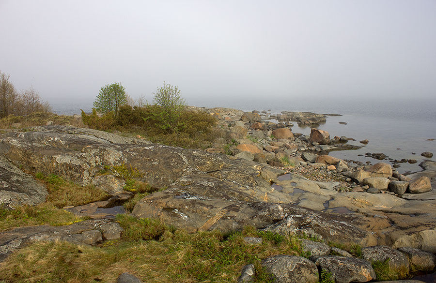 Puorkari, sumu