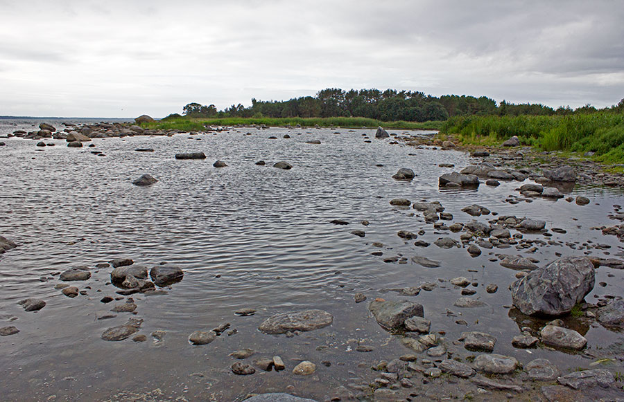 Laguuni