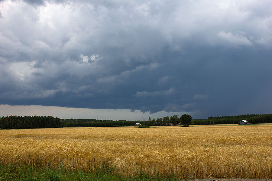 Kirkkokangas