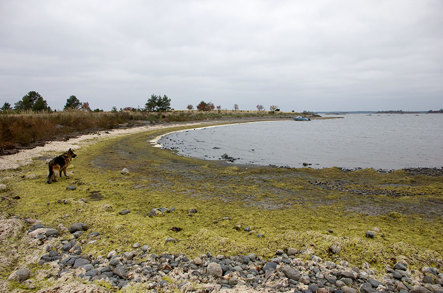 It�ranta ja Lotte