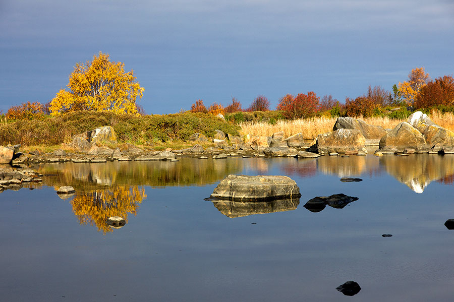 Steenkumppoosin ruska