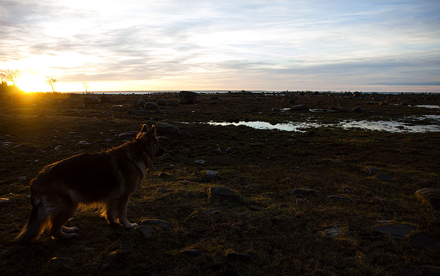 Lotte ja auringonnousu