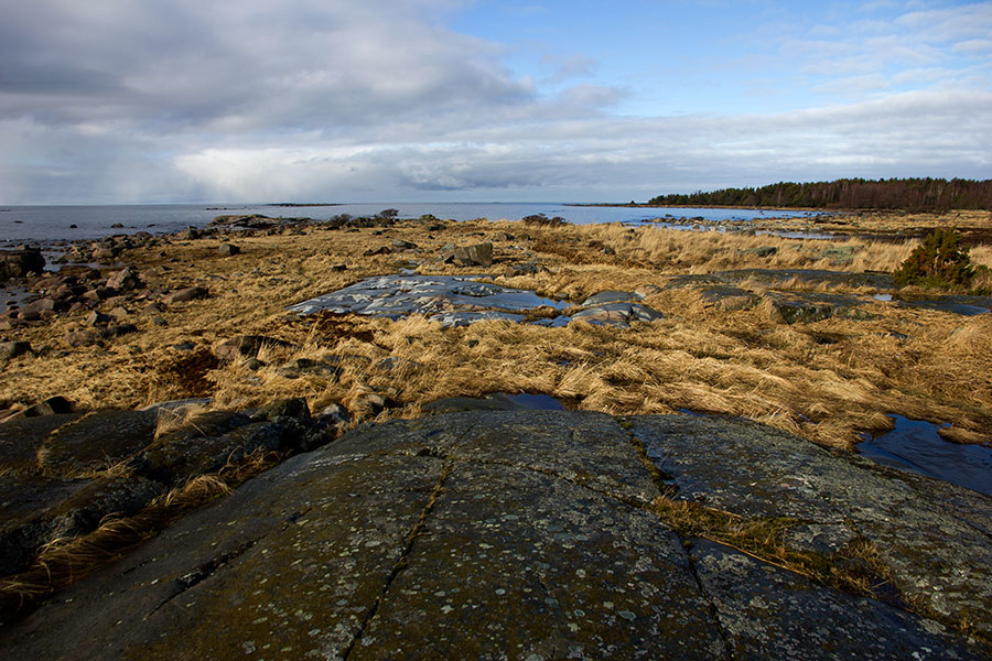 Etel�kari