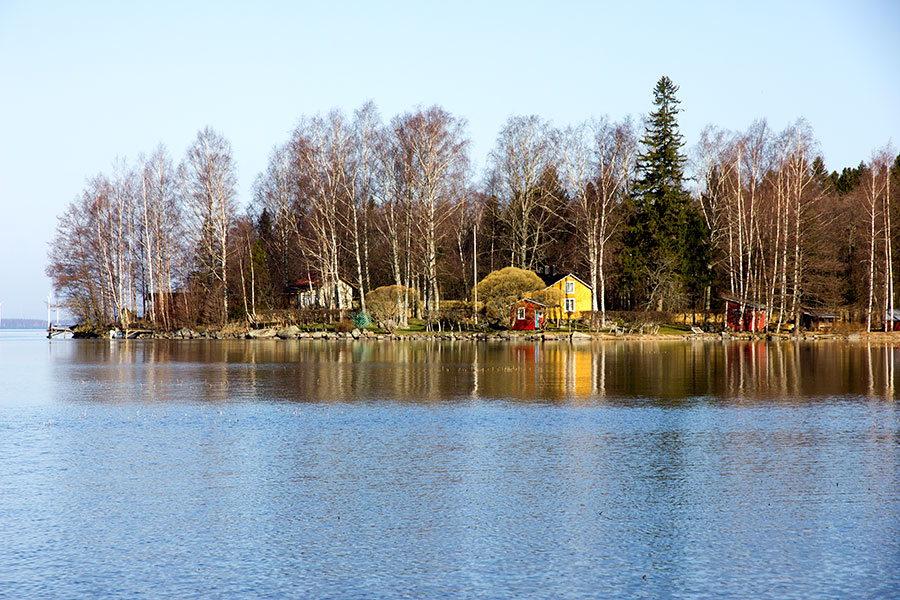 Puussan etel�reunan m�kit