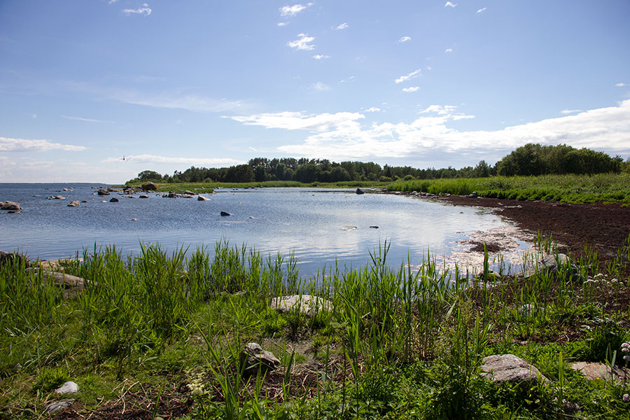 Laguuni