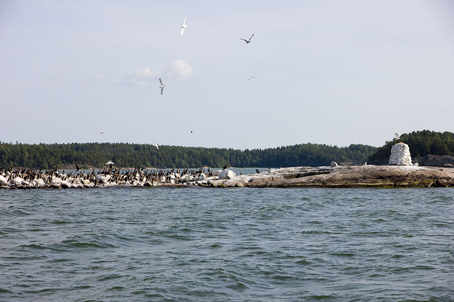 Nauvo, M�sgrund