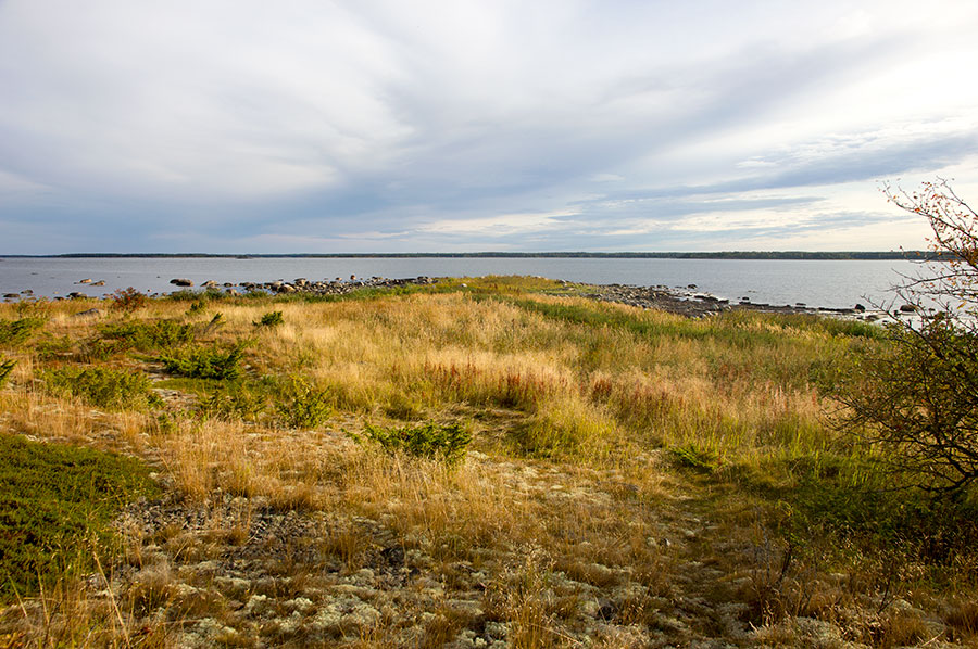 Domarkobban, pohjoisk�rki